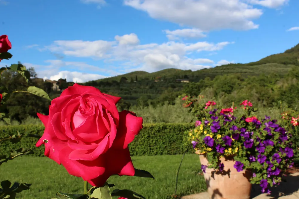 Casa Portagioia Bed & Breakfast Castiglion Fiorentino
